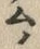 字ム