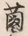 文字菌