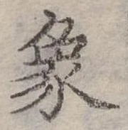 位置定マレル象