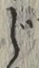 글자 じ