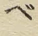 文字 ベ