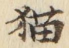 文字 猫