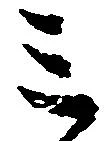 位置 確認된 ミ