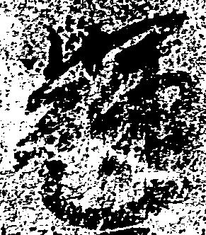 Located 輝