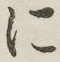 字に