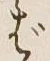 글자 ば
