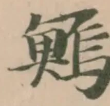 Đã định vị 鰞
