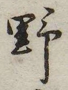 已定位野