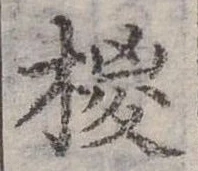 已定位棕