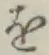 글자 を