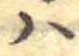 𛂞 위치 확인됨