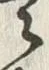 文字天