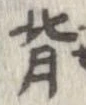 背 위치 확인됨