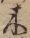 位置 確認된 木