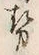 글자 勢