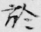 文字於