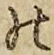 字の