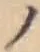 字ノ