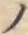 字ノ