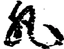已定位丸