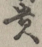 已定位貴