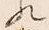 𡨸れ