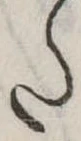 𛁠 위치 확인됨