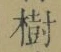 글자 樹