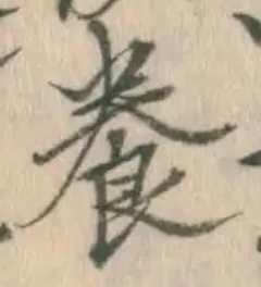 Chữ 養