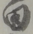 田 위치 확인됨