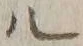 字ル