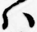 Đã định vị 𛂞