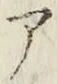 字ア