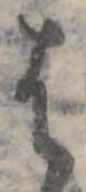 𛂦 위치 확인됨