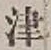 글자 津
