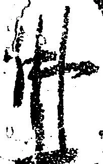 Đã định vị 仏