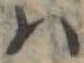 𛂞の位置