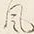 文字風