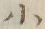 글자 小