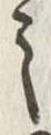字之