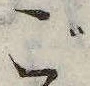 位置 確認된 ご