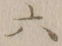 글자 六