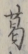 字葛