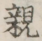 親 위치 확인됨
