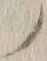 字ノ