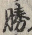 已定位勝