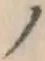 字ノ