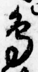鳥 위치 확인됨