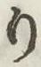 글자 り