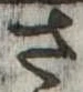 已定位さ